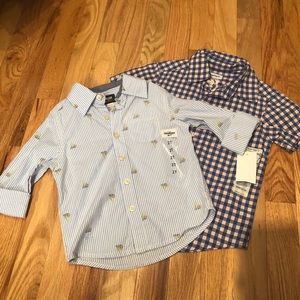 Boys Button down bundle